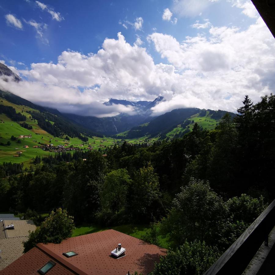 Fewo Fernsicht Crystal Adelboden Exterior foto