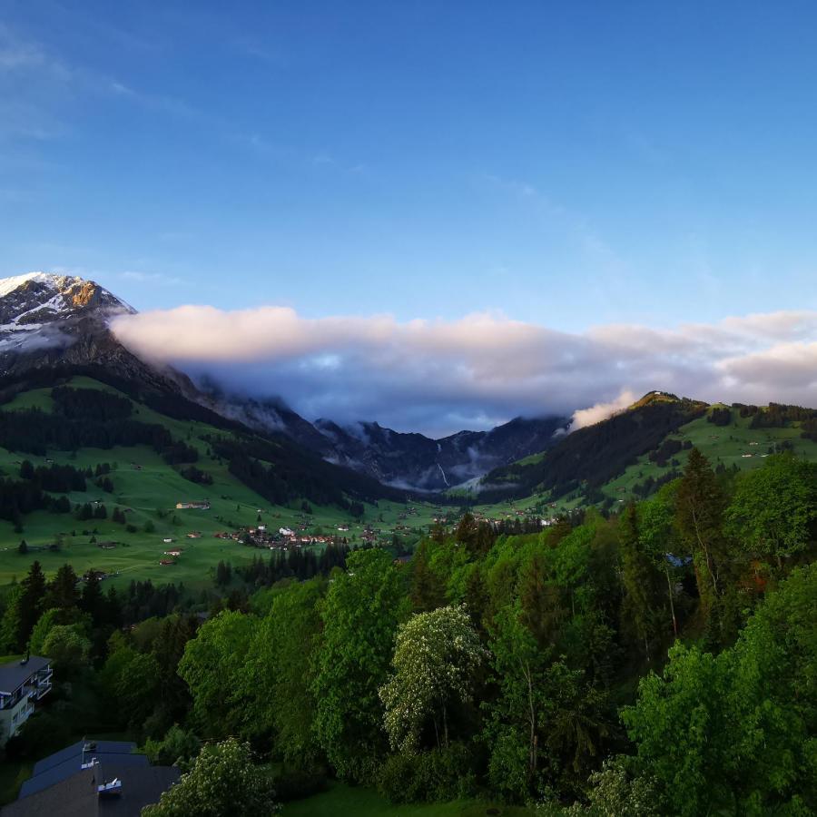 Fewo Fernsicht Crystal Adelboden Exterior foto